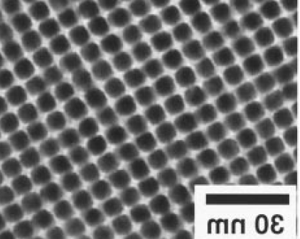 FePt Nanoparticles，.png