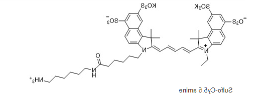 sulfo-Cyanine5.5 amine.png