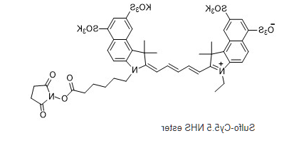 Sulfo Cy5.5-NHS ester.png