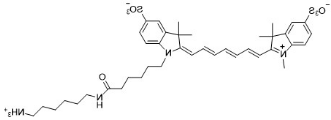 Sulfo CY7-NH2.png