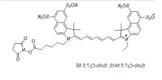 Sulfo-Cy7.5 NHS ester.png