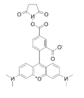 5-TAMRA-SE|cas号150810-68-7|5-羧基四甲基罗丹明琥珀酰亚胺酯.png