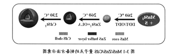 锰掺杂硫化镉量子点