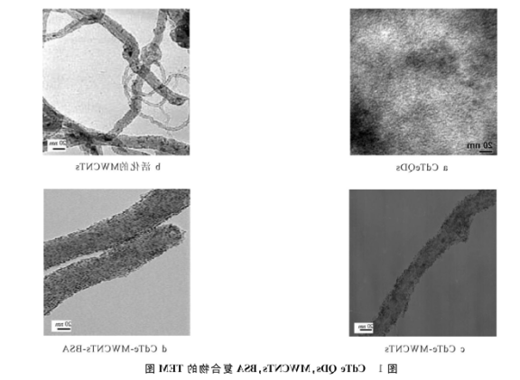 多壁碳纳米管上原位生长CdTe量子点.png 多壁碳纳米管上原位生长CdTe量子点.png