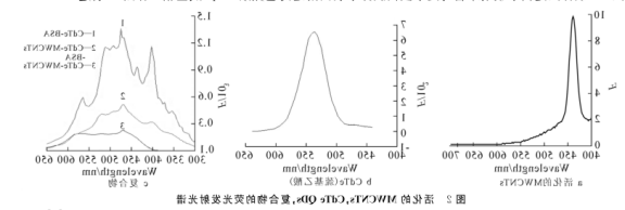 多壁碳纳米管上原位生长CdTe量子点.png 多壁碳纳米管上原位生长CdTe量子点.png