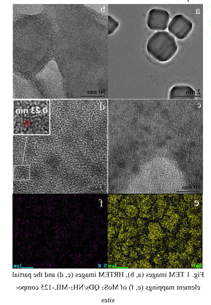MoS2QDs/NH2-MIL-125.png