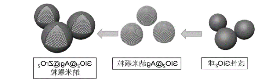 SiO@Ag纳米颗粒.png