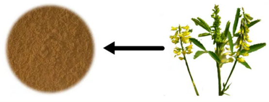 香豆素物理性质：.png