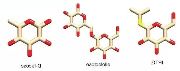 小分子**