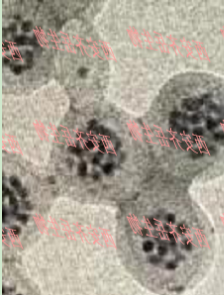 聚合物包裹Ag2S量子点载药