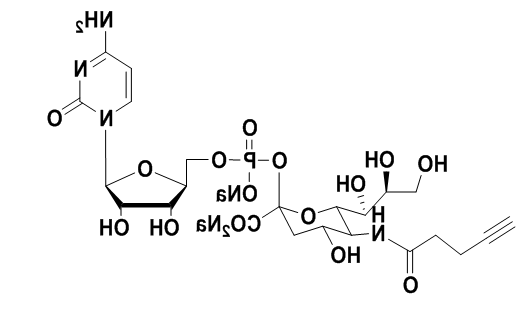 CMP-C9-Azido-Sialic Acid，5'-单磷酸胞苷修饰叠氮糖