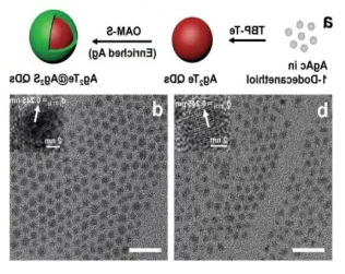 油溶近红外硒化银ag2se量子点 油溶近红外硒化银ag2se量子点