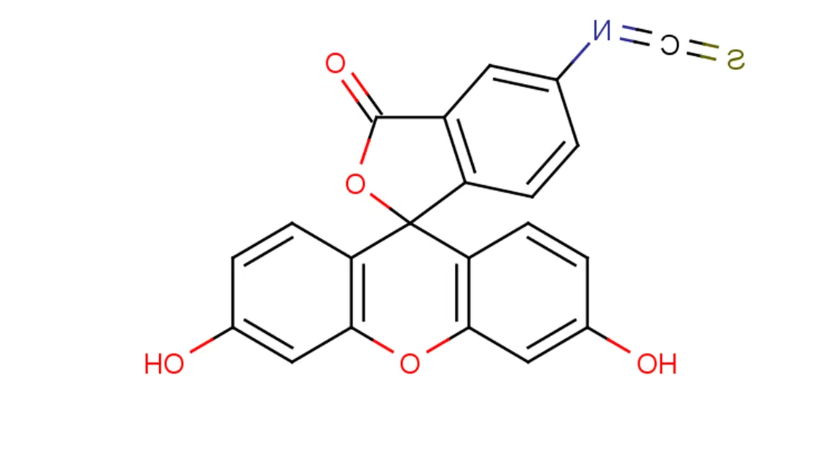 FITC-Dextran
