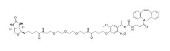 WS PC DBCO-Biotin