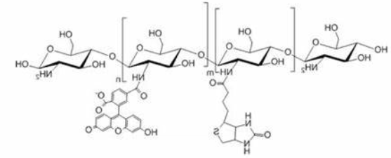 FITC-Chitosan