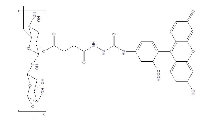 Dextran-FITC
