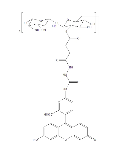 FITC-Dextran