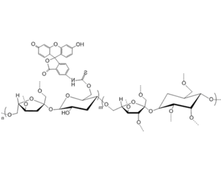 FITC-Polysucrose 