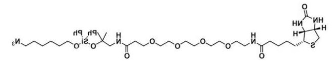 DADPS Biotin Azide
