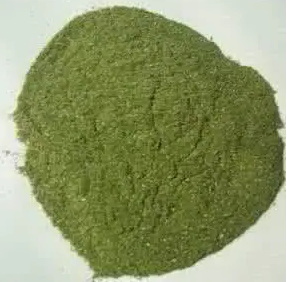 Indocyanine Green 