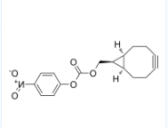 BCN-PNP(endo)