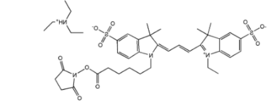 Cyanine3 NHS ester