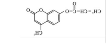 Sulfo DBCO-amine
