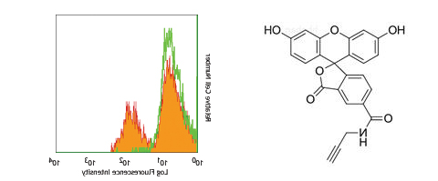 FITC-conjugated Streptavidin