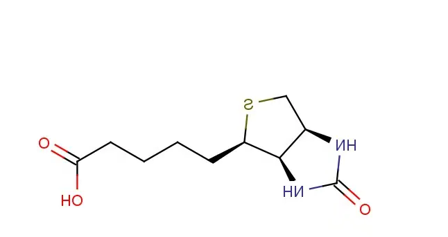 生物素