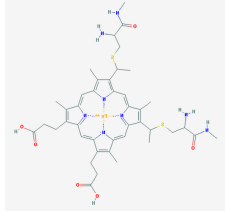 细胞色素C 细胞色素C
