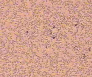 1651027215876614.png 微信截图_20220427104008.png