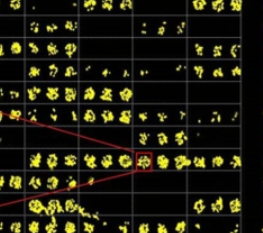微信截图_20220427162815.png