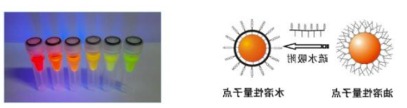 水溶性羧基量子点 水溶性羧基量子点