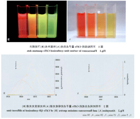 CdTe量子点