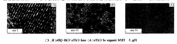 SiO2-QD-Ab2