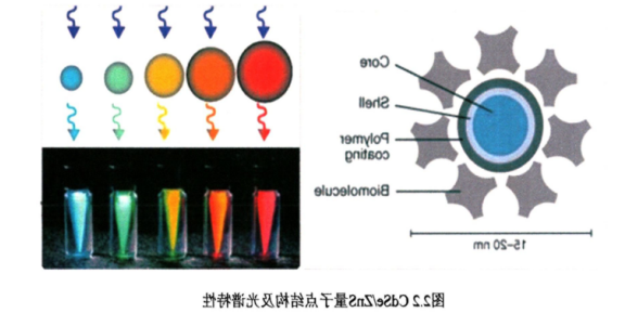 CdSe/ZnS近红外二区量子点