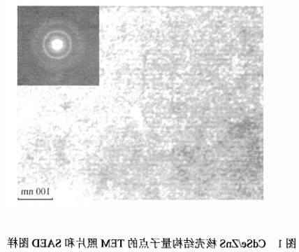 硒化镉/硫化锌(CdSe/ZnS)量子点