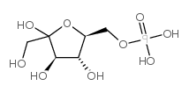 udp木糖 udp木糖