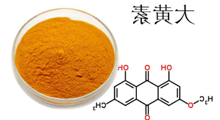 大黄素