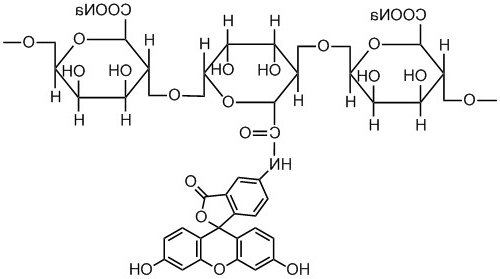 FITC-Alginate