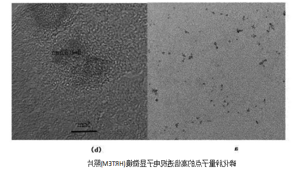 蛋白质核糖核酸酶修饰的碲化锌量子点