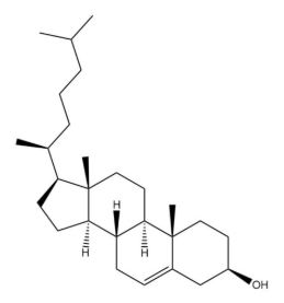 胆固醇- 胆固醇-