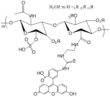 绿色荧光素标记硫酸软骨素 绿色荧光素标记硫酸软骨素