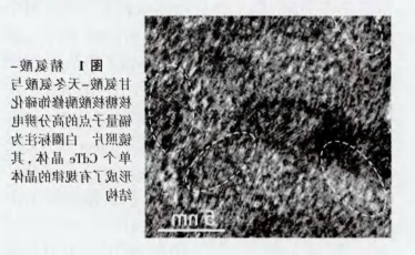近红外碲化镉(CdTe)量子点