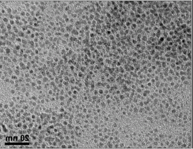 QDs-c(RGDyk)-Lip