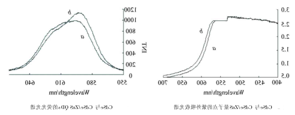 聚丙烯酸包覆CdSe/ZnS(碲化镉/硫化硒锌)量子点偶联人IgG蛋白分子
