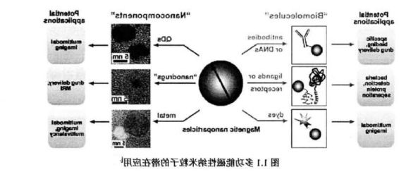 Fe304磁性/ZnS量子点 Fe304磁性/ZnS量子点