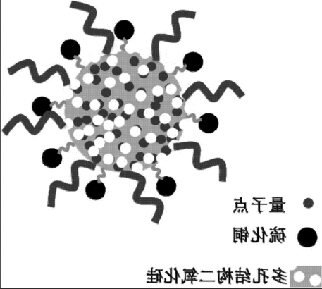 SiO2-NH2/CuInS2-IBU SiO2-NH2/CuInS2-IBU