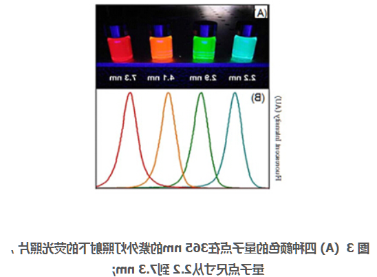 透明质酸修饰牛血清白蛋白包裹近红外ZCIS量子点