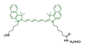 ICG hydrazide